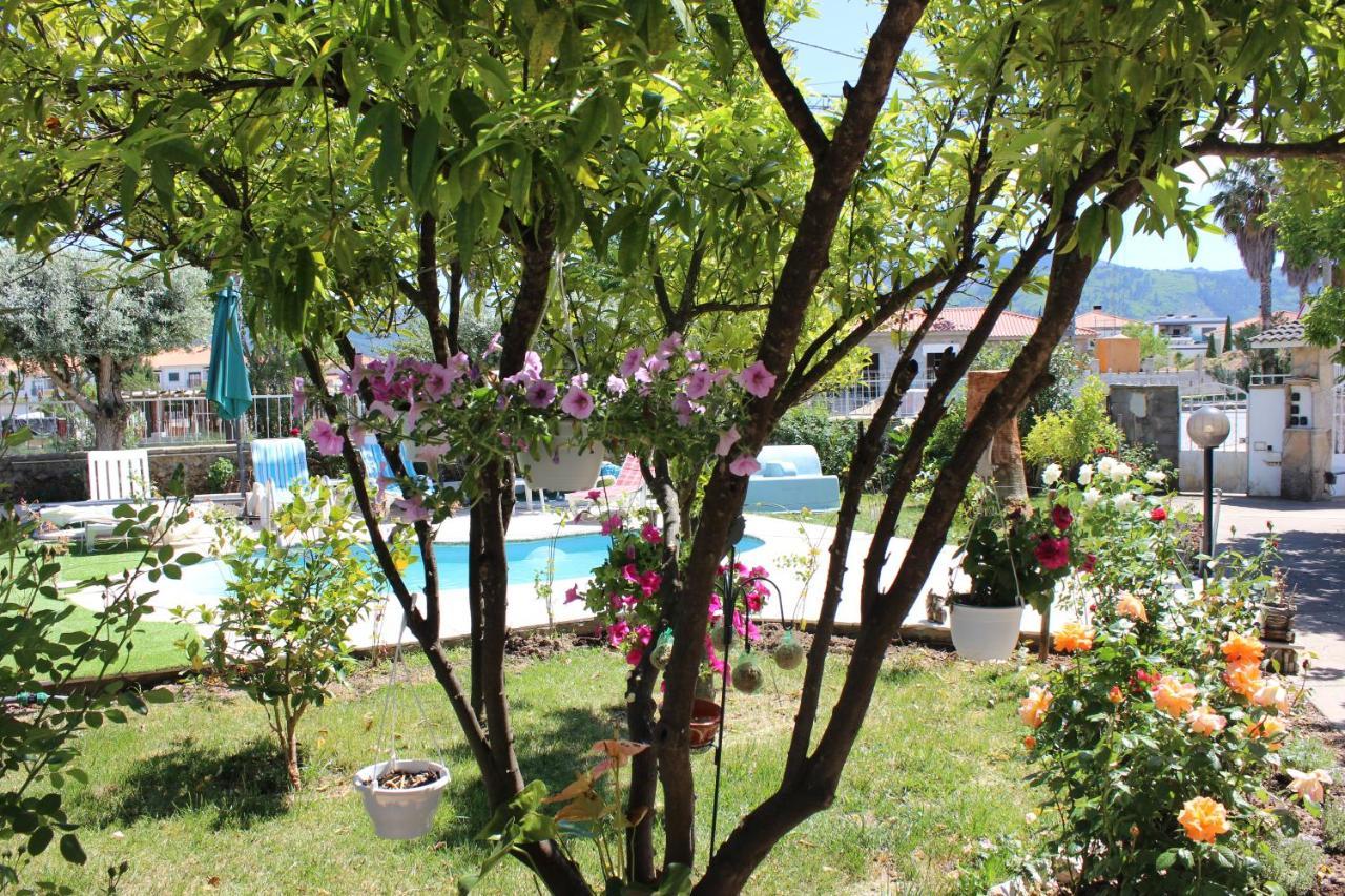 Quinta De Sao Marcos Guest House Fundao Exterior photo